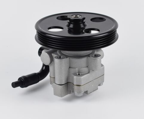 Силовой рулевой насос из Китая Части автомобильного шасси высокая точность 1102DAA03701N 60бар две трубы